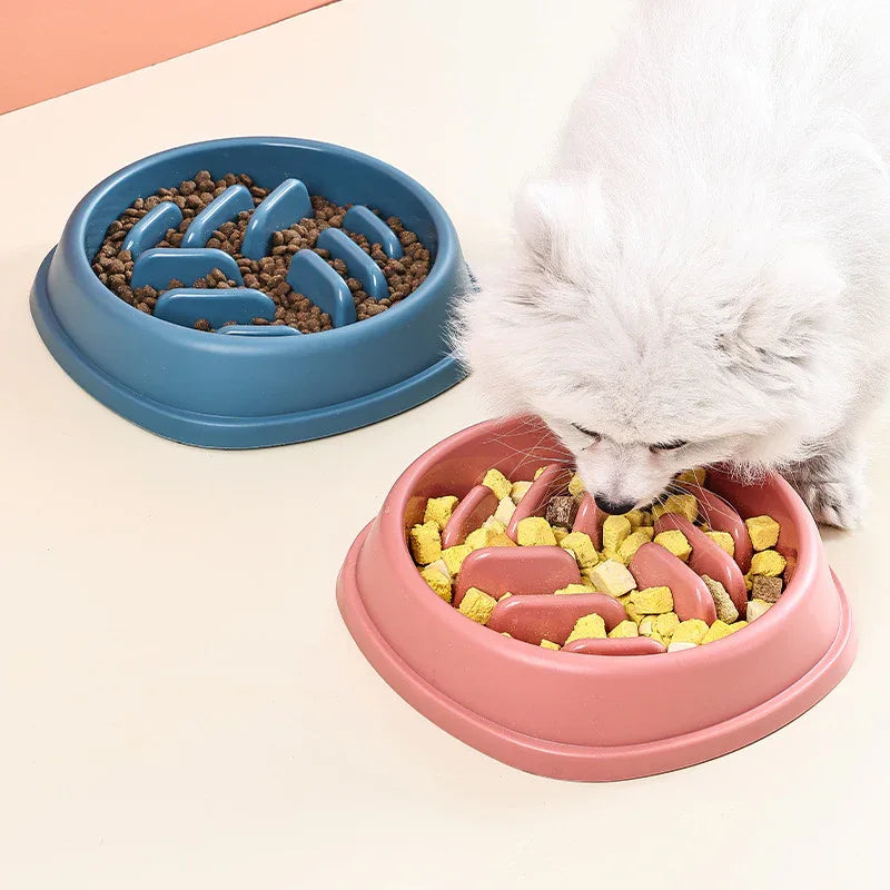 Anti-Schling-Futternapf für Katzen & Hunde