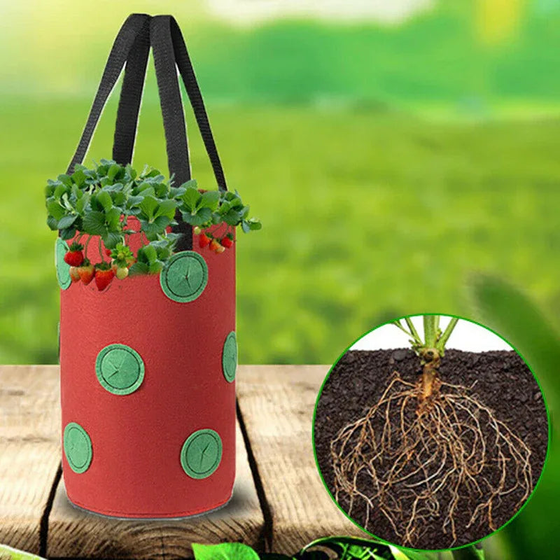 Pflanzsack aus Vliesstoff für Gemüse und Obst