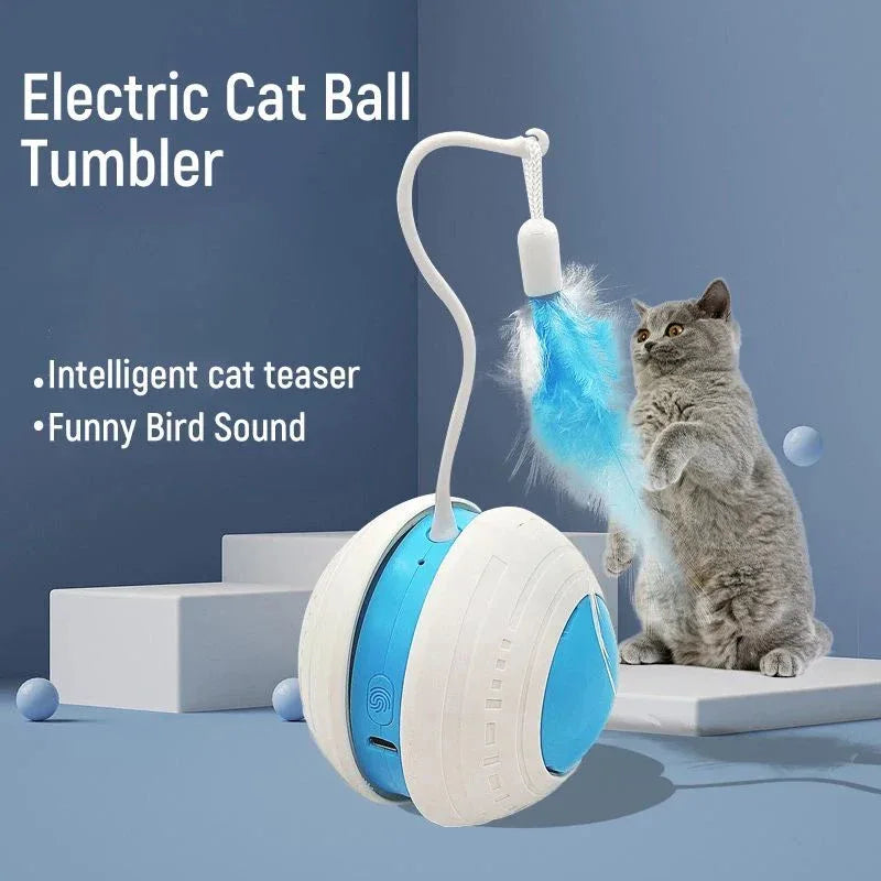 Unregelmäßiges elektrisches Feder-Katzen-Spielzeug