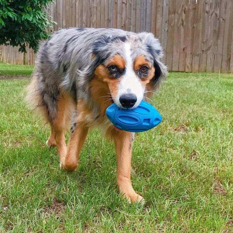 Quietschendes, strapazierfähiges Hundekauspielzeug aus Gummi