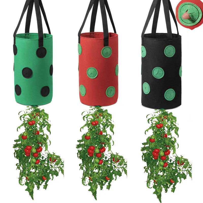 Pflanzsack aus Vliesstoff für Gemüse und Obst
