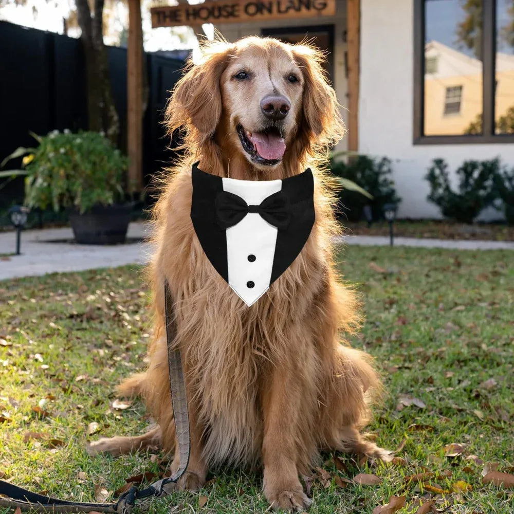 Hunde Smoking Anzug mit Fliege und Halstuch, verstellbare formelle Kostüme für kleine, mittlere, große Hunde, perfekt für Hochzeiten und Geburtstage
