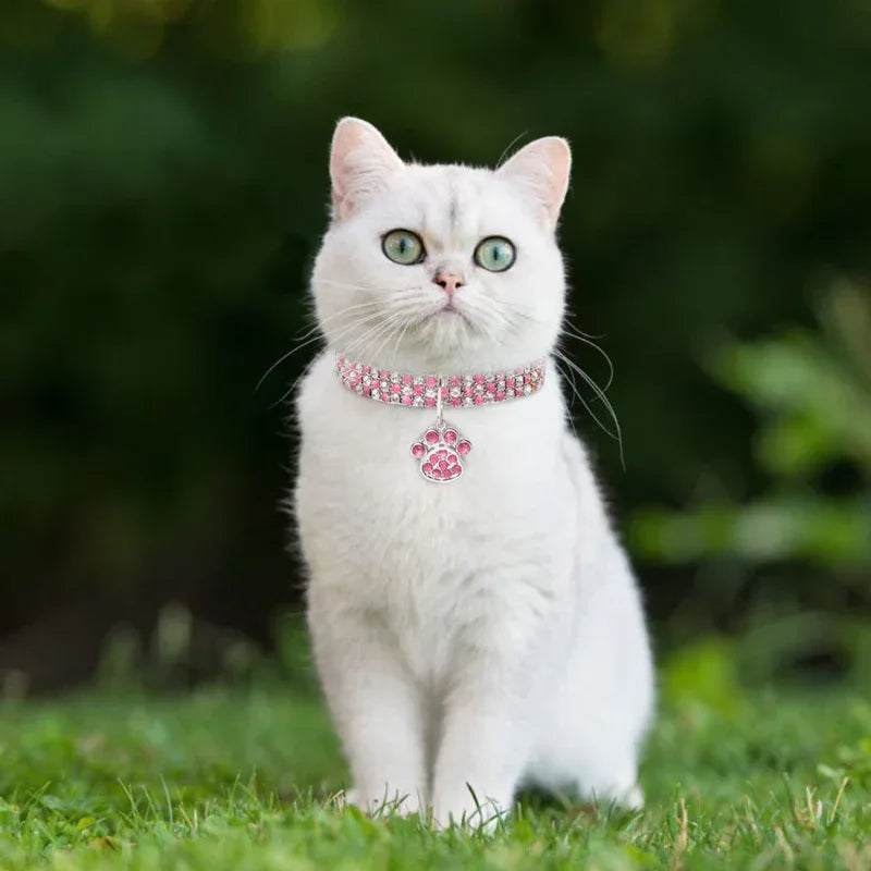 Haustierhalskette mit Diamanten für Katzen und Hunde