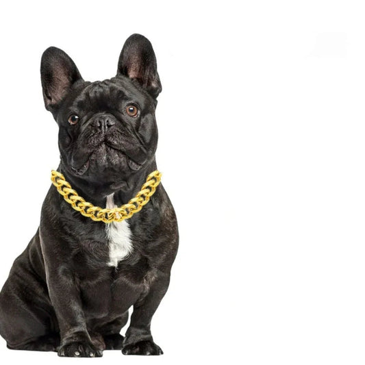 Halskette für kleine und mittelgroße Hunde, Haustierkette