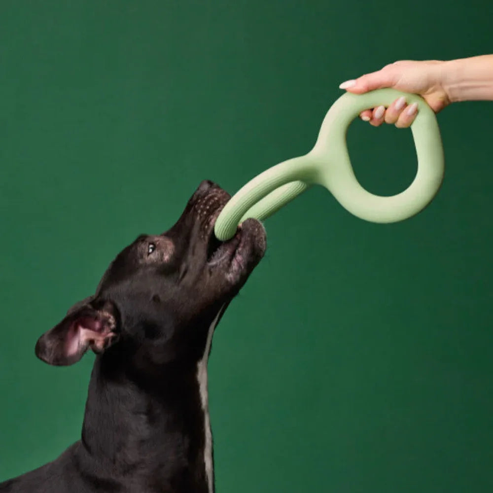 Interaktives Beiß- und Zerrspielzeug für Hunde aus Gummi