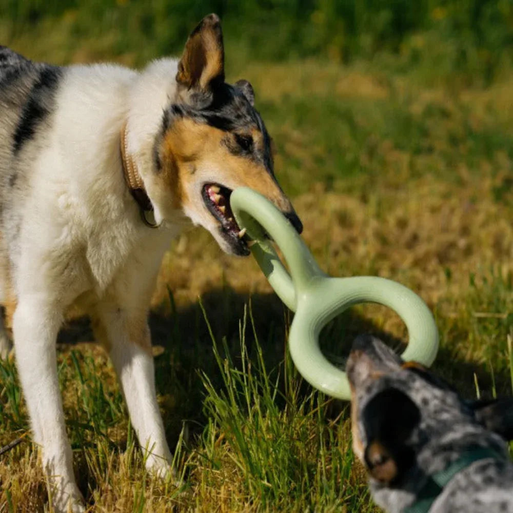Interaktives Beiß- und Zerrspielzeug für Hunde aus Gummi