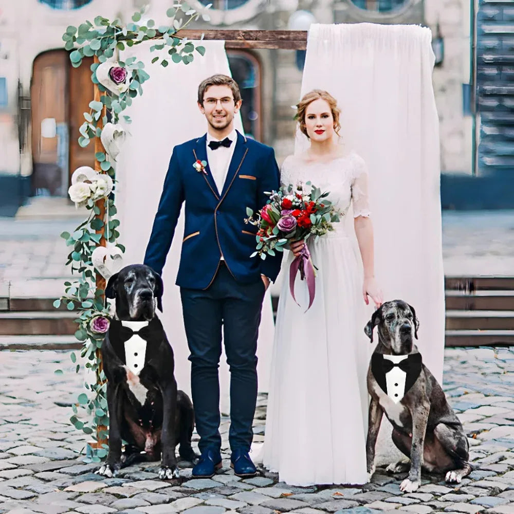 Hunde Smoking Anzug mit Fliege und Halstuch, verstellbare formelle Kostüme für kleine, mittlere, große Hunde, perfekt für Hochzeiten und Geburtstage