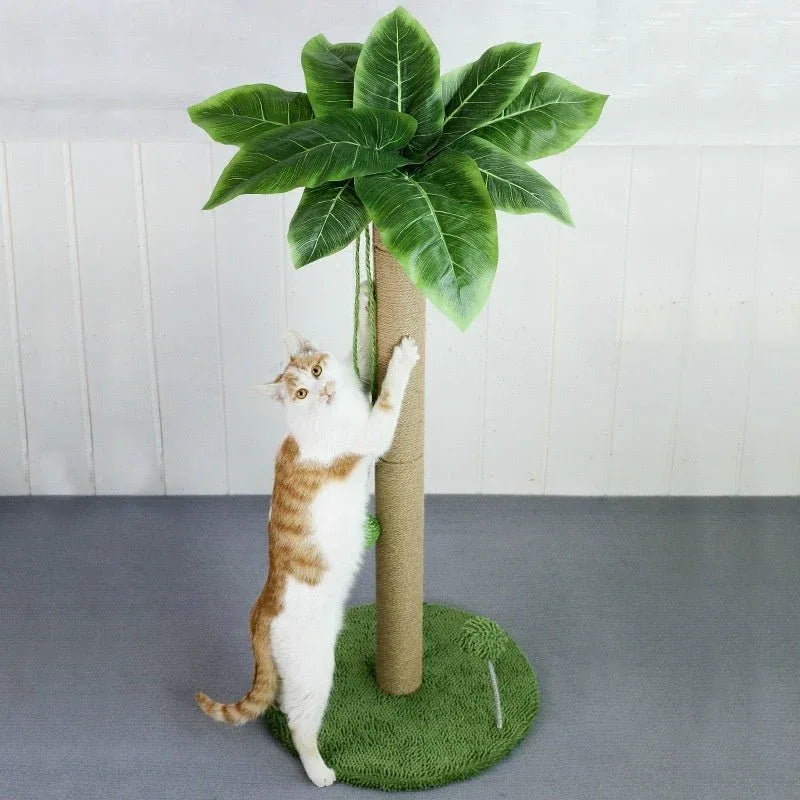 Katzenkratzbaumstange mit hängendem Ballspielzeug