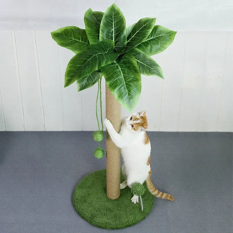 Katzenkratzbaumstange mit hängendem Ballspielzeug