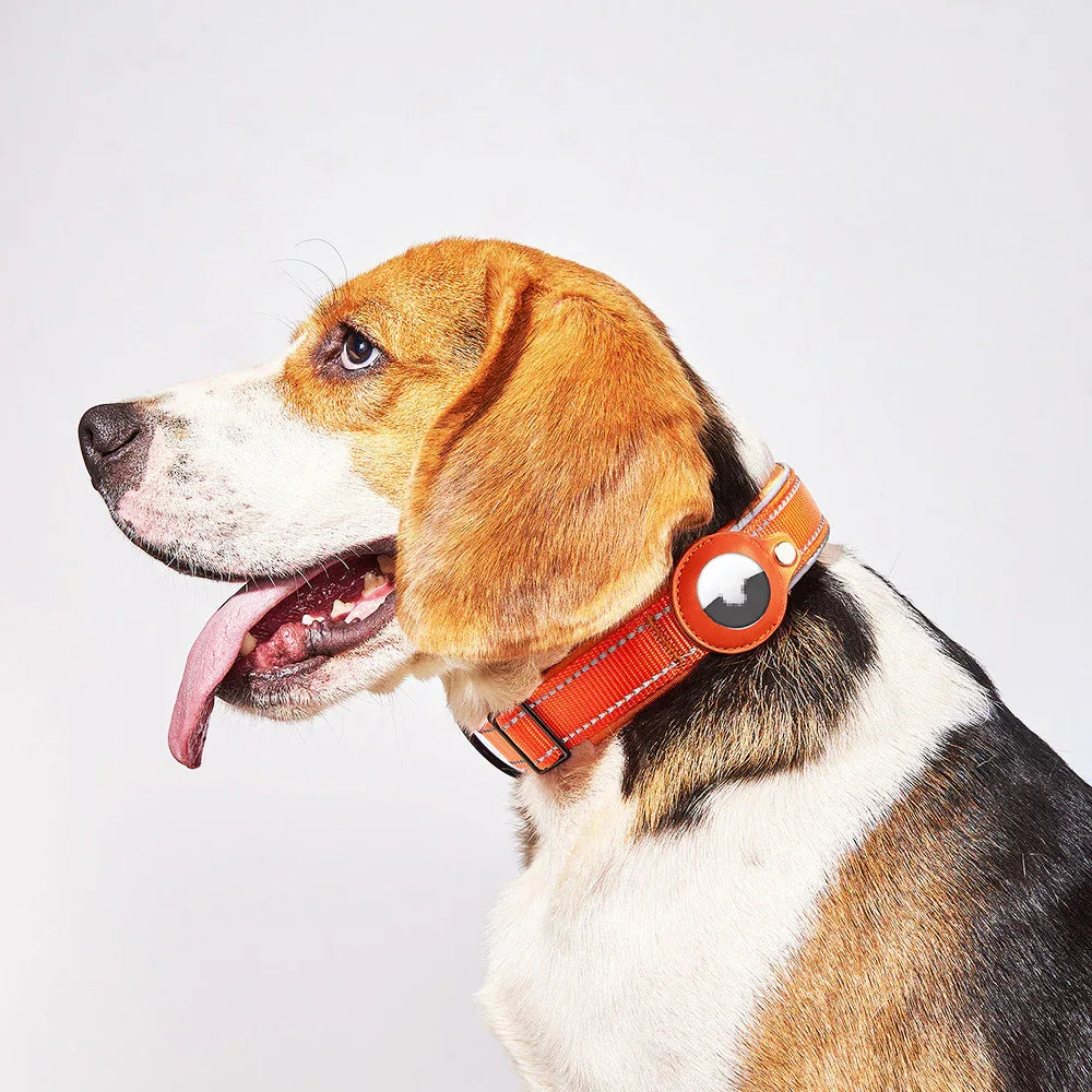 AirTag Lederetui Nylon Hund Katze Haustier Anti-Verlust Ortungsgerät Halsband