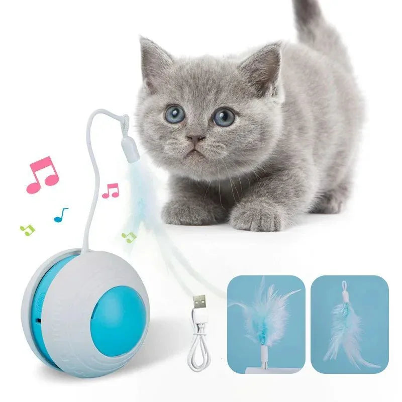 Unregelmäßiges elektrisches Feder-Katzen-Spielzeug