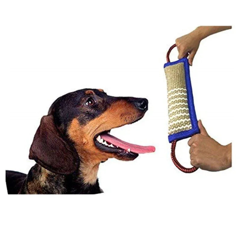 Hundetrainings-Kauspielzeug